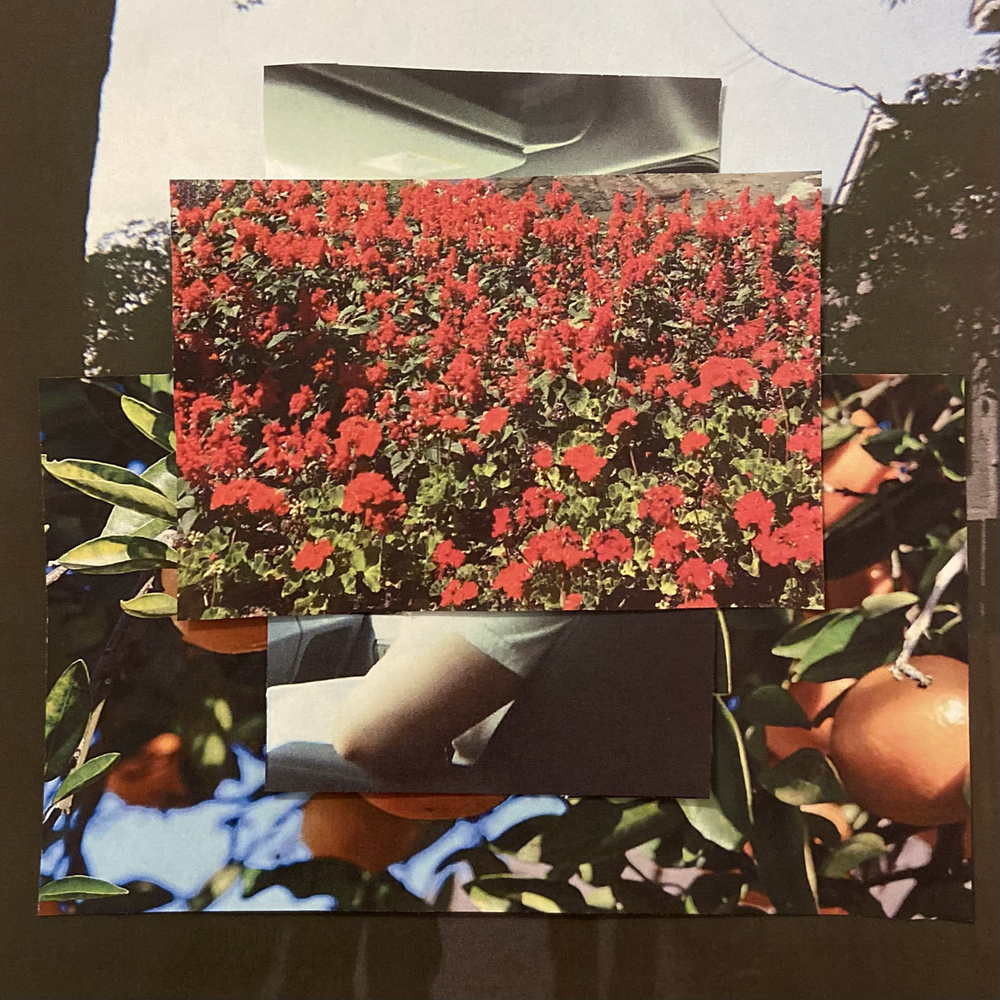 Leith Ross, Orlando (Single) in HighResolution Audio ProStudioMasters