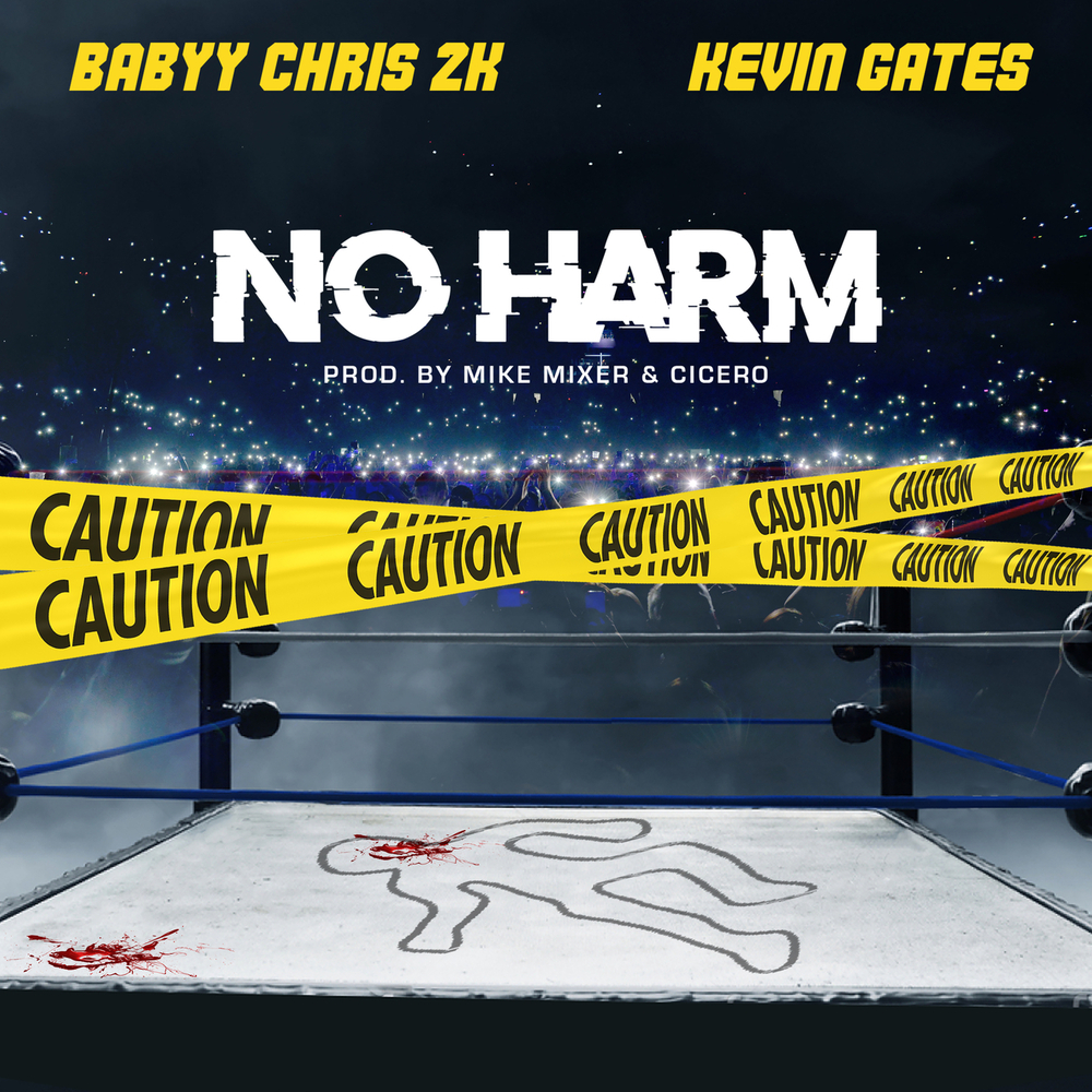 Babyy Chris 2k Kevin Gates No Harm Single Edited Clean In High Resolution Audio Prostudiomasters