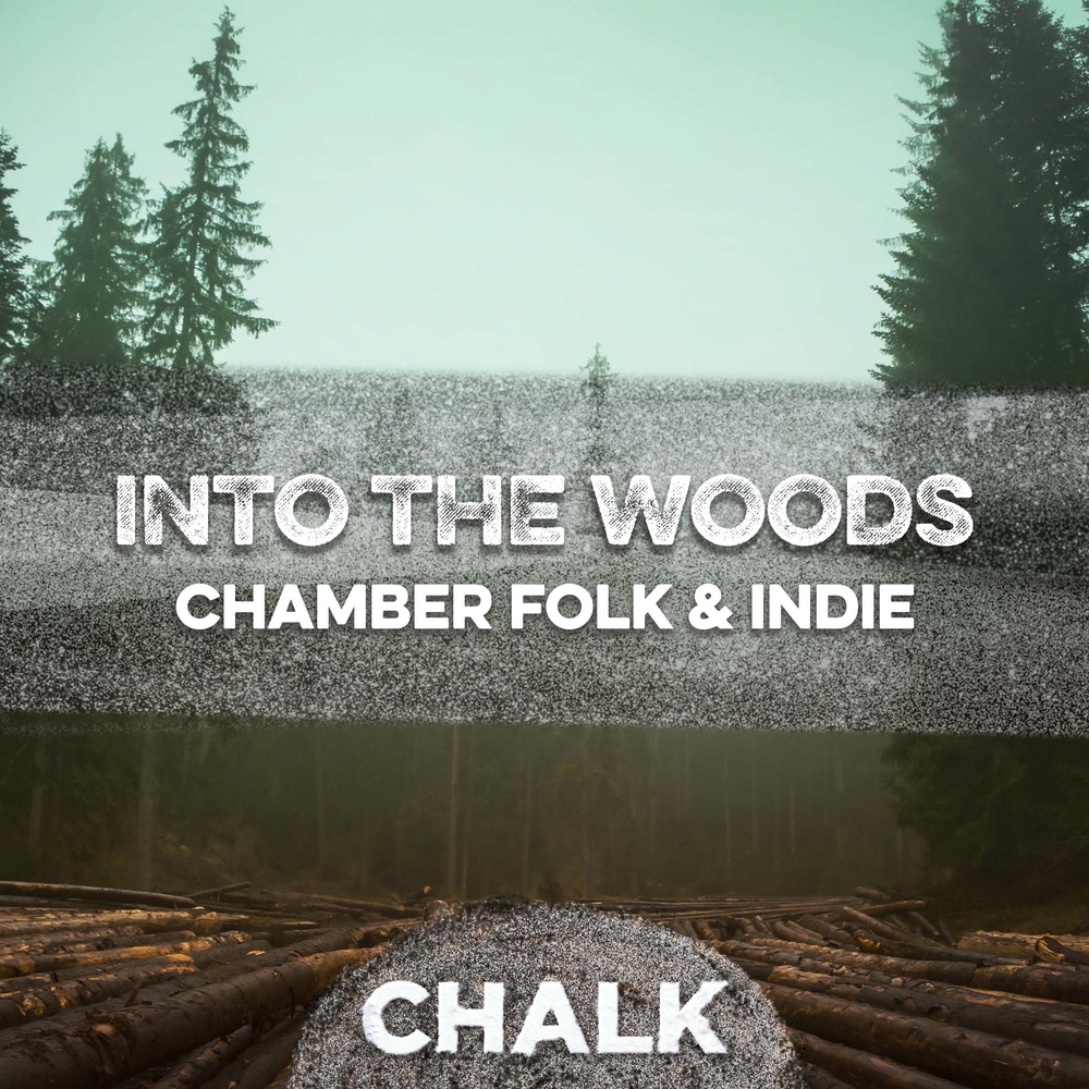 Various Artists, Into the Woods Chamber Folk & Indie in High