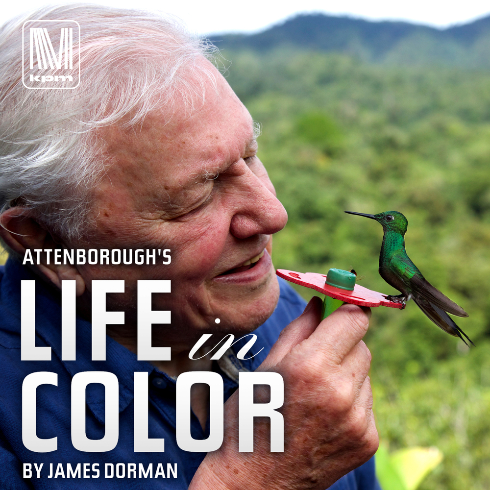James Dorman Attenborough s Life In Colour In High Resolution Audio james-dorman-attenborough-s-life-in-colour-in-high-resolution-audio