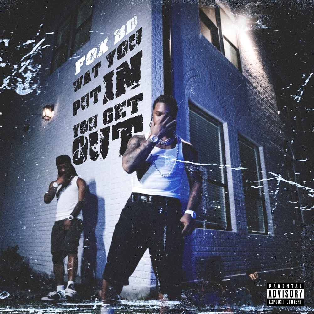 Fox BD, Wat you put in, you get out (Single) in High-Resolution Audio ...