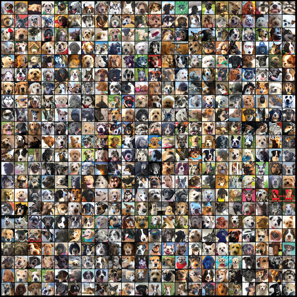 Matt Mays, Dog City in HighResolution Audio ProStudioMasters